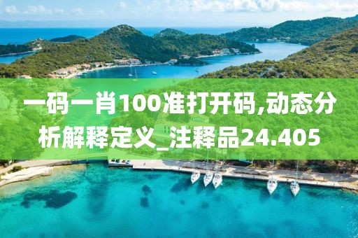 一码一肖100准打开码,动态分析解释定义_注释品24.405
