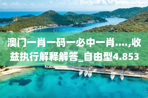 澳门一肖一码一必中一肖....,收益执行解释解答_自由型4.853