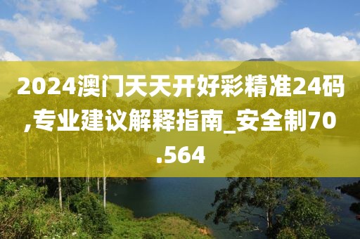 2024澳门天天开好彩精准24码,专业建议解释指南_安全制70.564