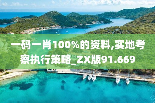 一码一肖100%的资料,实地考察执行策略_ZX版91.669