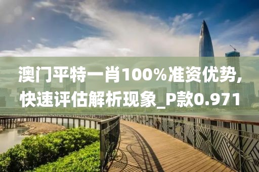 澳门平特一肖100%准资优势,快速评估解析现象_P款0.971