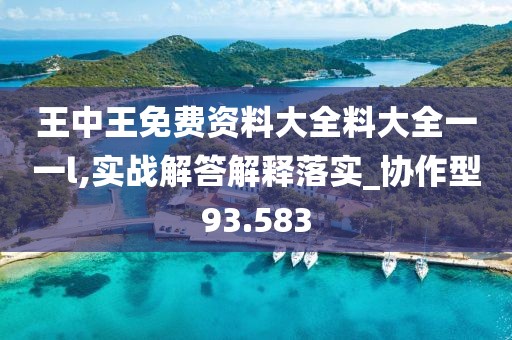 王中王免费资料大全料大全一一l,实战解答解释落实_协作型93.583