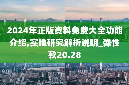 2024年正版资料免费大全功能介绍,实地研究解析说明_弹性款20.28