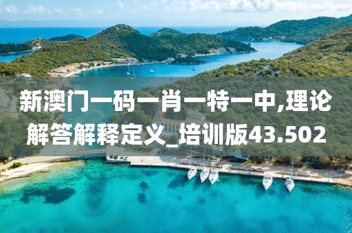 新澳门一码一肖一特一中,理论解答解释定义_培训版43.502