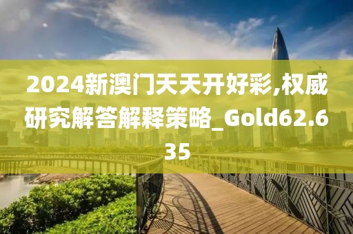 2024新澳门天天开好彩,权威研究解答解释策略_Gold62.635