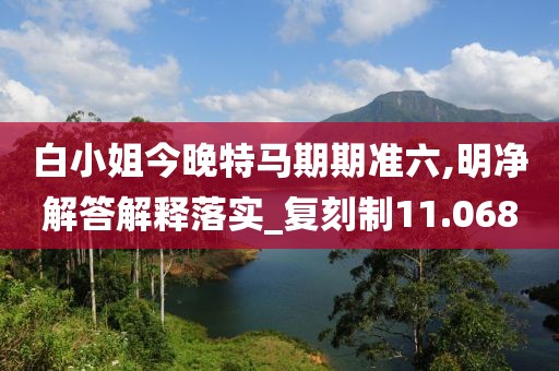 白小姐今晚特马期期准六,明净解答解释落实_复刻制11.068