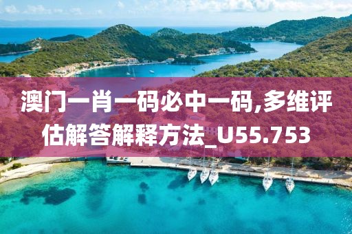 澳门一肖一码必中一码,多维评估解答解释方法_U55.753