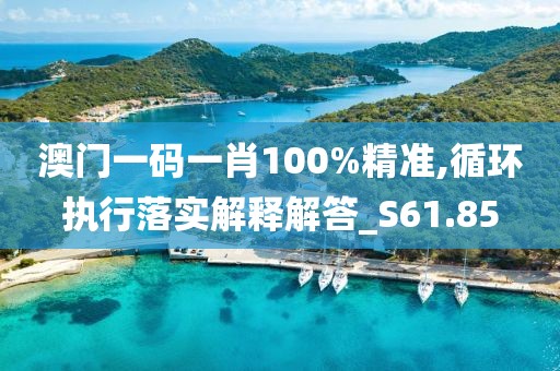 澳门一码一肖100%精准,循环执行落实解释解答_S61.85