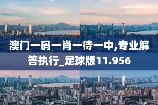 澳门一码一肖一待一中,专业解答执行_足球版11.956