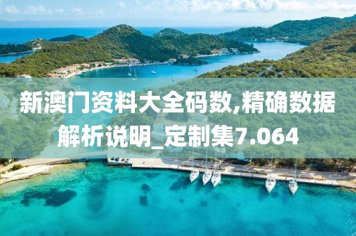 新澳门资料大全码数,精确数据解析说明_定制集7.064