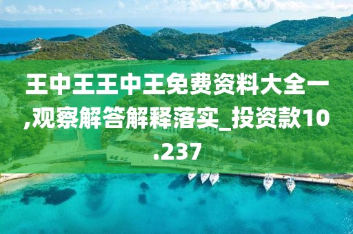 王中王王中王免费资料大全一,观察解答解释落实_投资款10.237