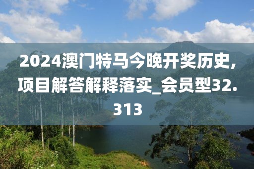 2024澳门特马今晚开奖历史,项目解答解释落实_会员型32.313