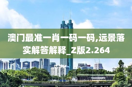 澳门最准一肖一码一码,远景落实解答解释_Z版2.264