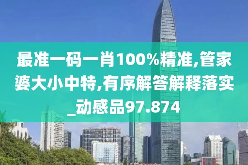 最准一码一肖100%精准,管家婆大小中特,有序解答解释落实_动感品97.874