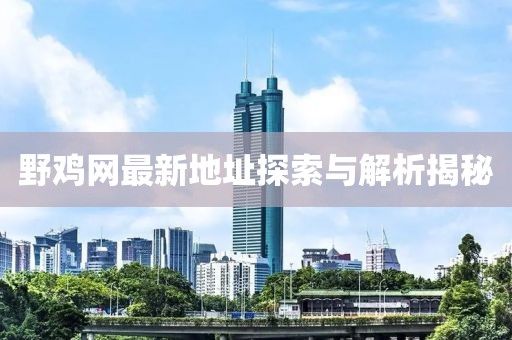 野鸡网最新地址探索与解析揭秘