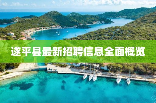 遂平县最新招聘信息全面概览