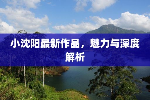 小沈阳最新作品，魅力与深度解析