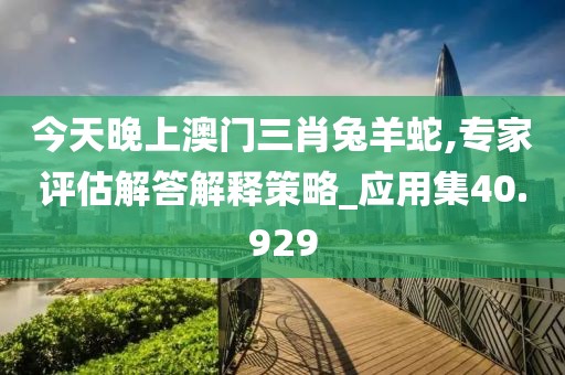 今天晚上澳门三肖兔羊蛇,专家评估解答解释策略_应用集40.929