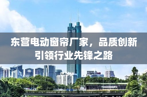 东营电动窗帘厂家，品质创新引领行业先锋之路