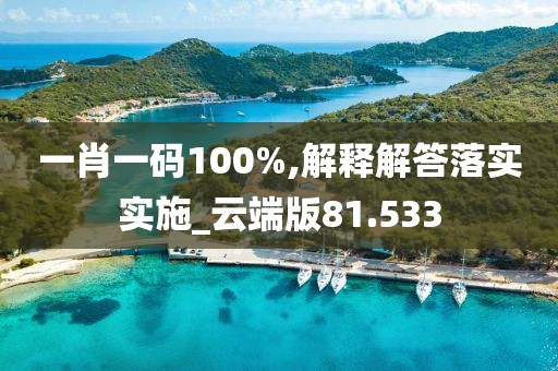 一肖一码100%,解释解答落实实施_云端版81.533