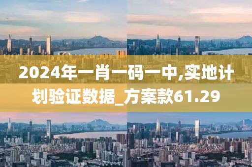 2024年一肖一码一中,实地计划验证数据_方案款61.29