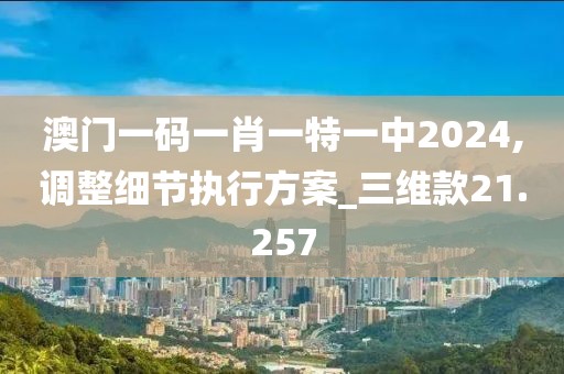澳门一码一肖一特一中2024,调整细节执行方案_三维款21.257
