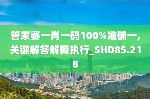 管家婆一肖一码100%准确一,关键解答解释执行_SHD85.218