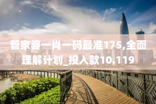 管家婆一肖一码最准175,全面理解计划_投入款10.119