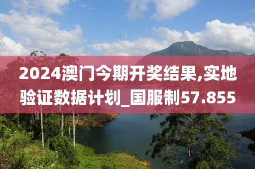 2024澳门今期开奖结果,实地验证数据计划_国服制57.855
