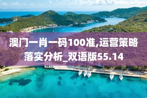 澳门一肖一码100准,运营策略落实分析_双语版55.14