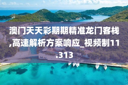 澳门天天彩期期精准龙门客栈,高速解析方案响应_视频制11.313