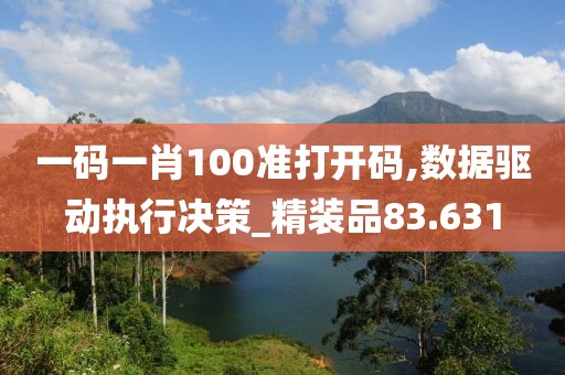一码一肖100准打开码,数据驱动执行决策_精装品83.631
