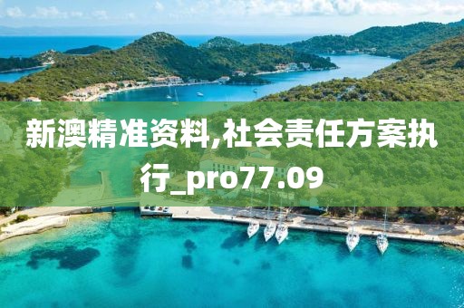 新澳精准资料,社会责任方案执行_pro77.09