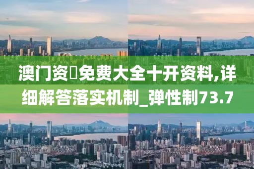 澳门资枓免费大全十开资料,详细解答落实机制_弹性制73.7