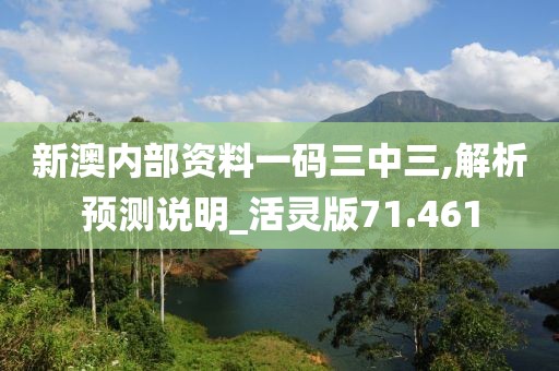 新澳内部资料一码三中三,解析预测说明_活灵版71.461