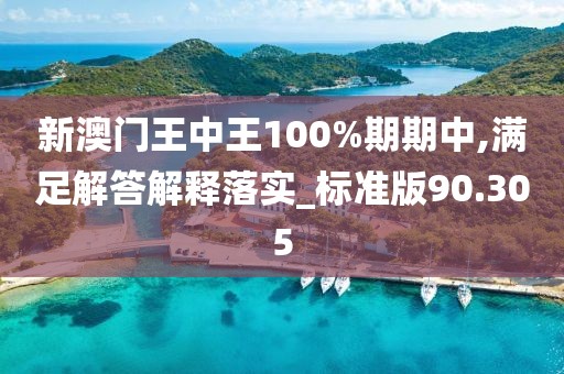 新澳门王中王100%期期中,满足解答解释落实_标准版90.305