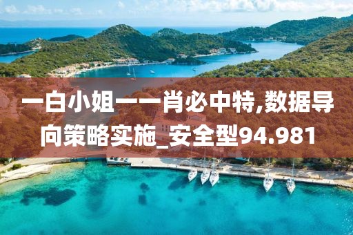 一白小姐一一肖必中特,数据导向策略实施_安全型94.981