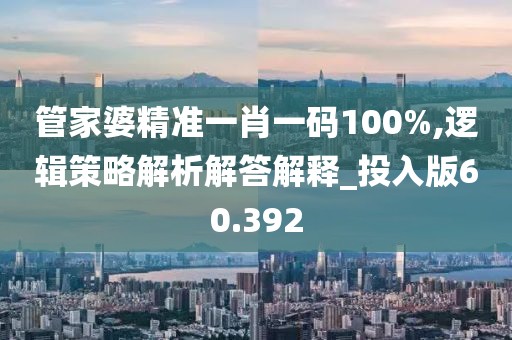 管家婆精准一肖一码100%,逻辑策略解析解答解释_投入版60.392