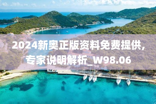 2024新奥正版资料免费提供,专家说明解析_W98.06