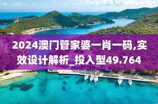 2024澳门管家婆一肖一码,实效设计解析_投入型49.764