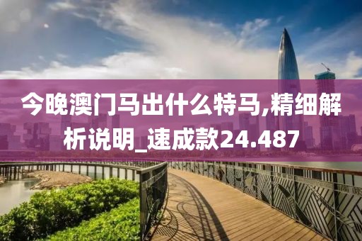 今晚澳门马出什么特马,精细解析说明_速成款24.487