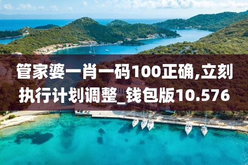 管家婆一肖一码100正确,立刻执行计划调整_钱包版10.576