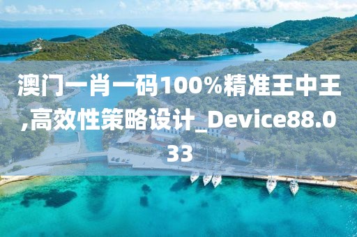 澳门一肖一码100%精准王中王,高效性策略设计_Device88.033