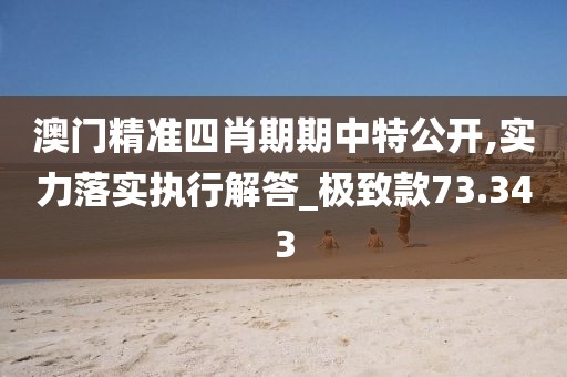 澳门精准四肖期期中特公开,实力落实执行解答_极致款73.343