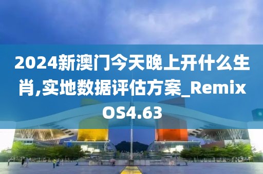 2024新澳门今天晚上开什么生肖,实地数据评估方案_RemixOS4.63