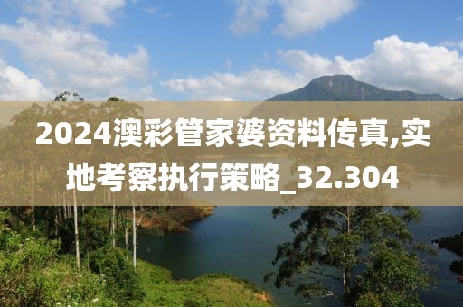 2024澳彩管家婆资料传真,实地考察执行策略_32.304