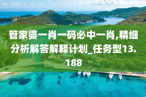 管家婆一肖一码必中一肖,精细分析解答解释计划_任务型13.188