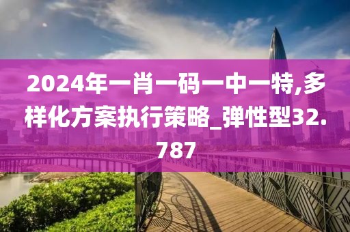 2024年一肖一码一中一特,多样化方案执行策略_弹性型32.787
