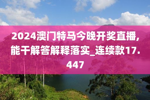 2024澳门特马今晚开奖直播,能干解答解释落实_连续款17.447