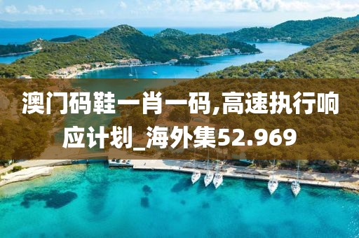 澳门码鞋一肖一码,高速执行响应计划_海外集52.969